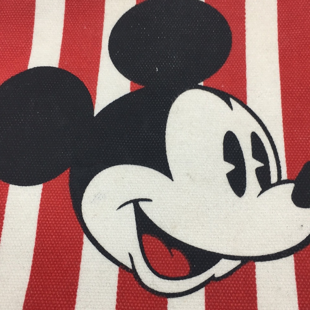 Mickey Mouse Case - image 2